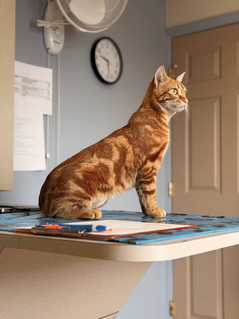 Alameda Veterinary Clinic