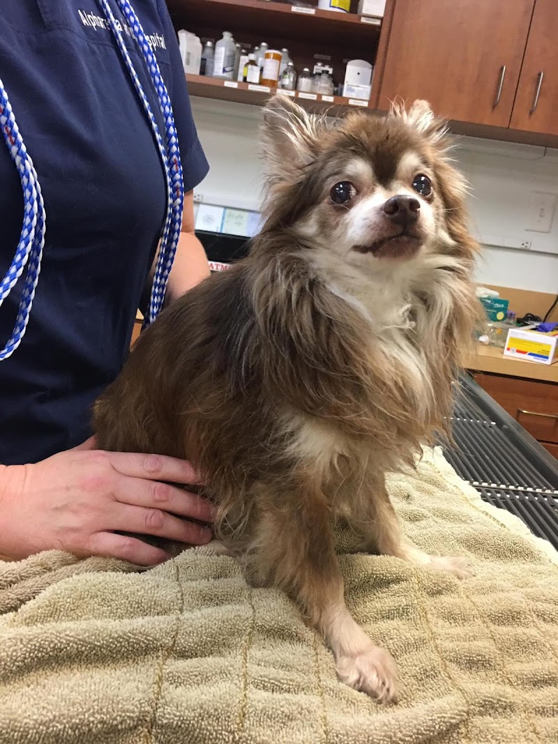 Alpharetta Animal Hospital
