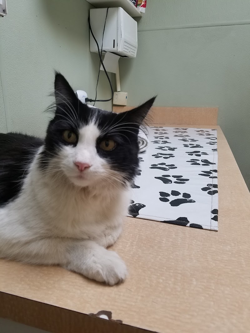 VCA Wilshire Animal Hospital