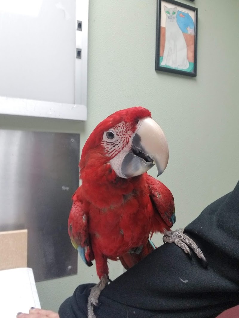 VCA Wilshire Animal Hospital