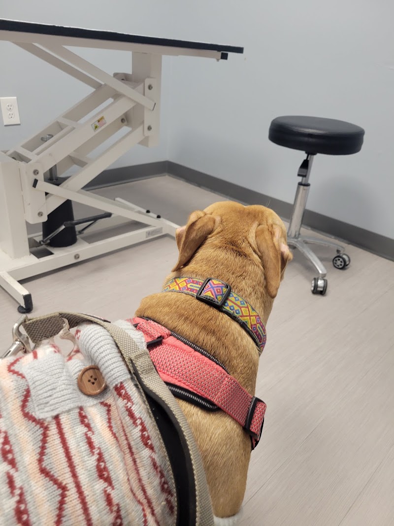 Washington Ave Animal Hospital - Philadelphia