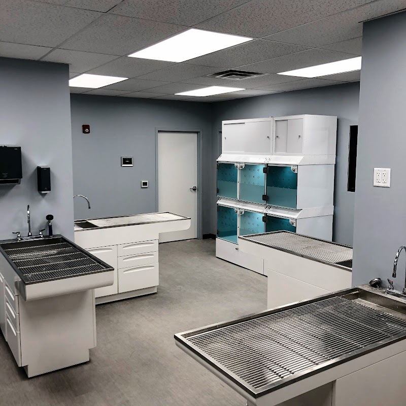 Washington Ave Animal Hospital