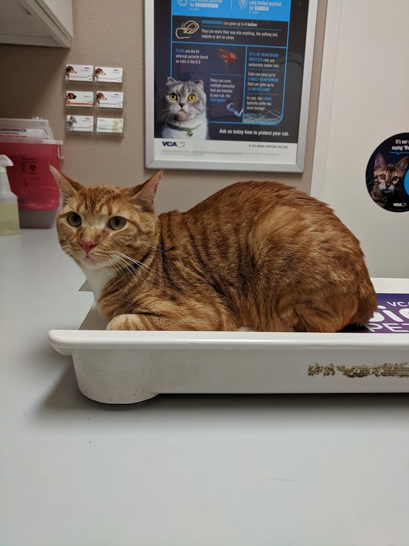 VCA Health Associates Animal Hospital