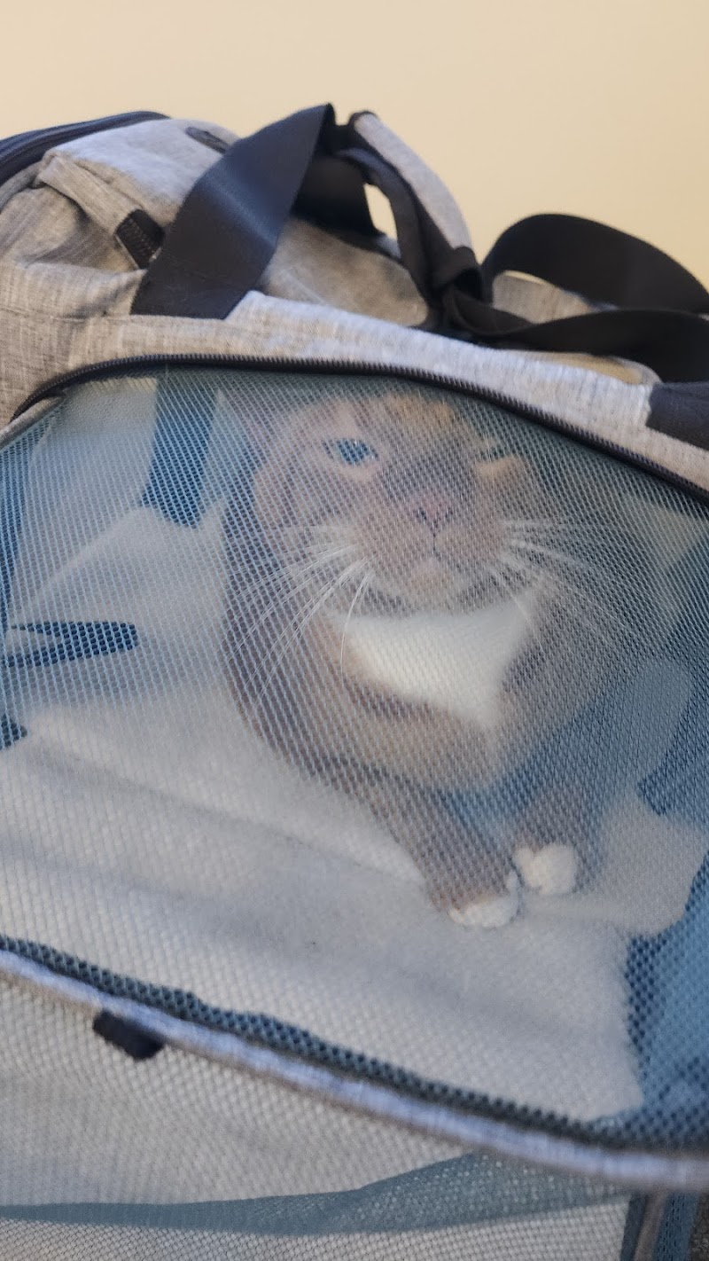 Fletcher Hills Animal Hospital
