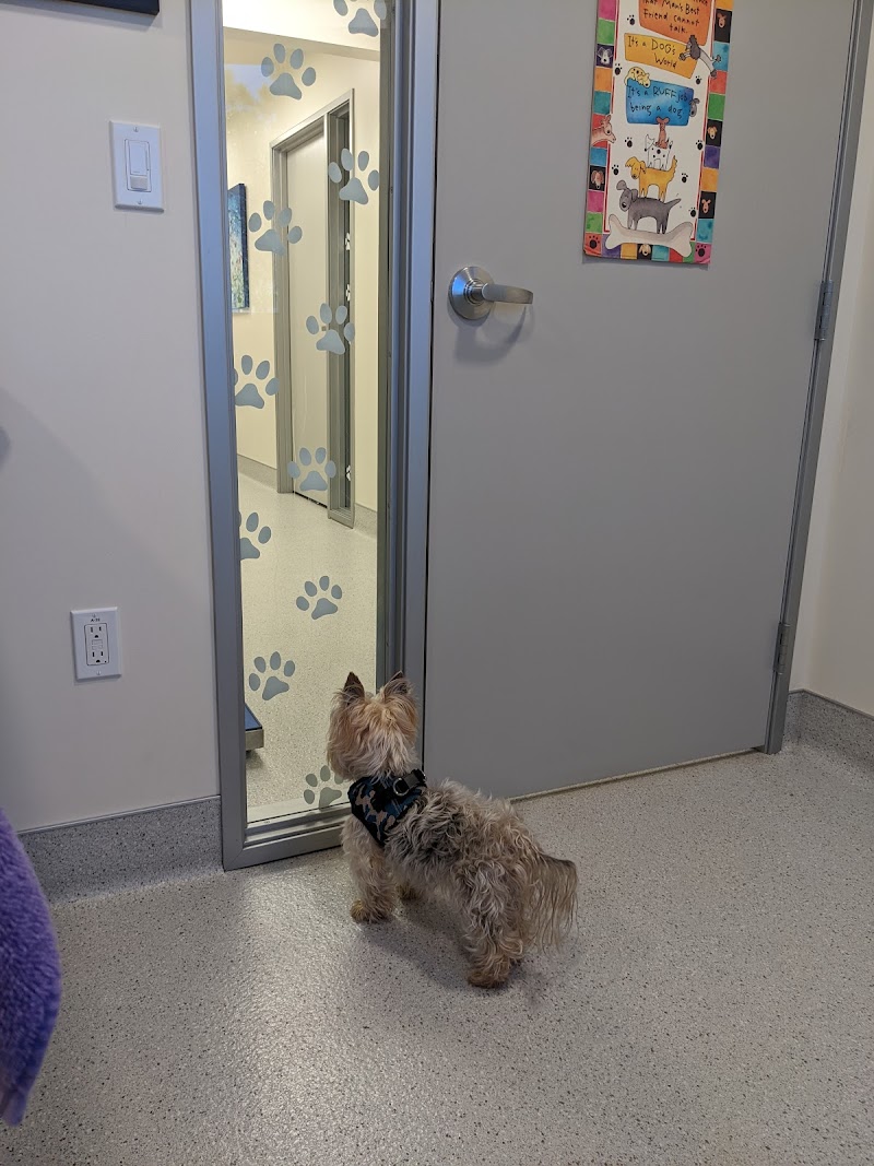 Fletcher Hills Animal Hospital
