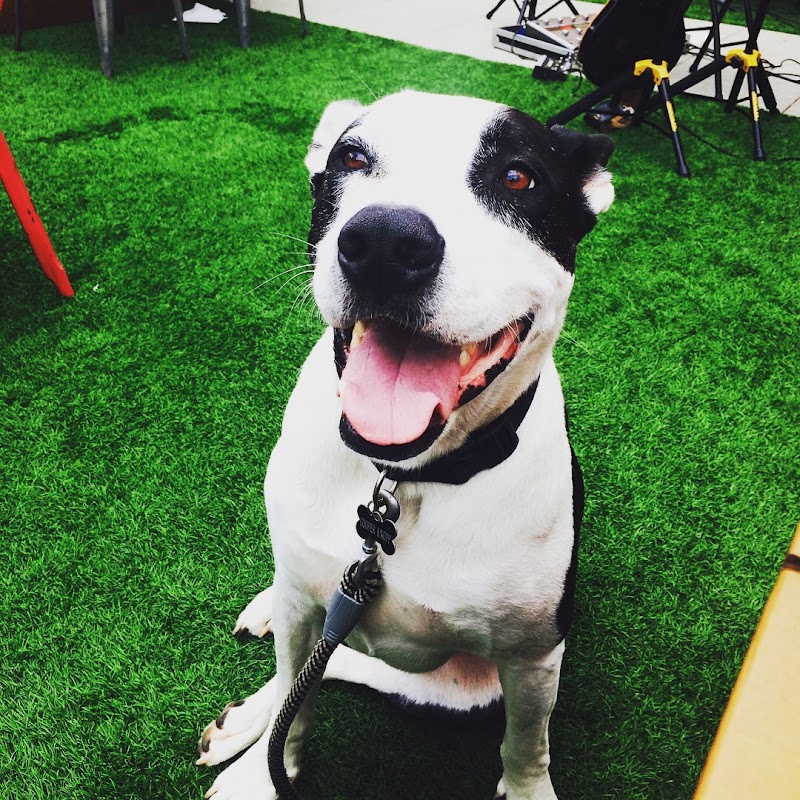 Fletcher Hills Animal Hospital