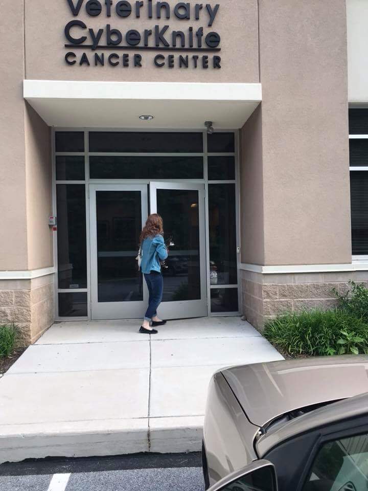 BluePearl Veterinary Cyberknife Cancer Center
