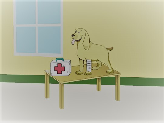 Heaven 4ur Pet Pennsylvania