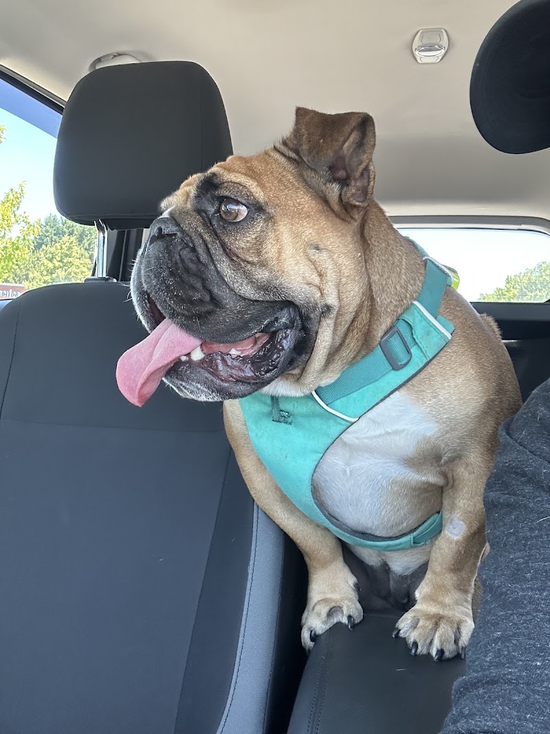 Pacific Northwest Pet ER & Specialty Center