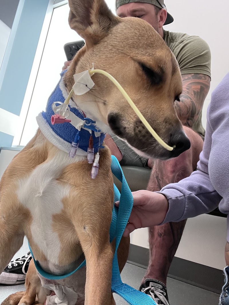 Pacific Northwest Pet ER & Specialty Center