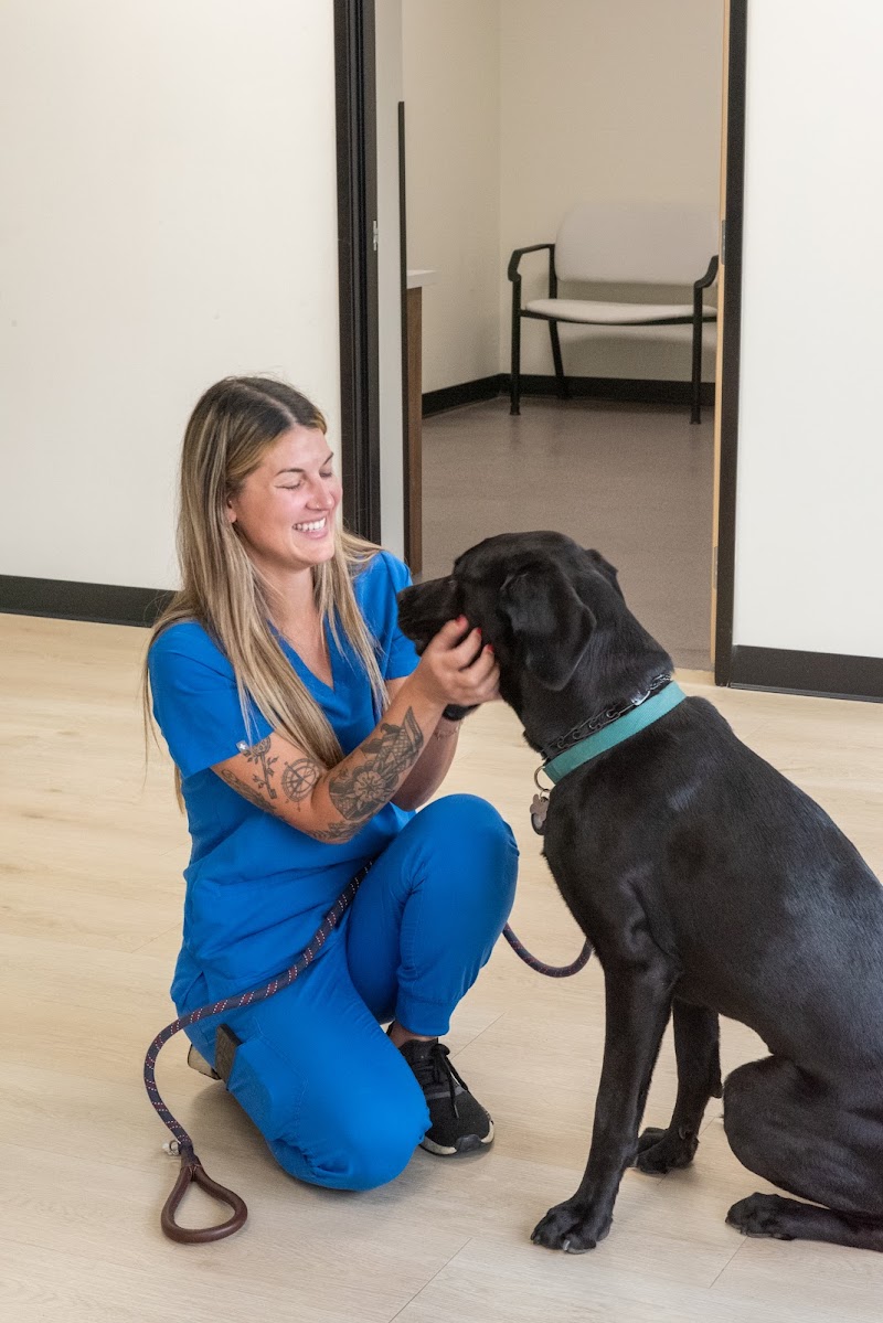 Stitches Veterinary Surgery