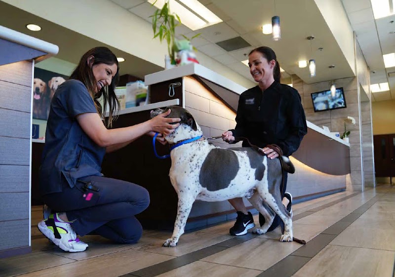 VCA West Coast Specialty and Emergency Animal Hospital