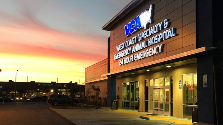 VCA West Coast Specialty and Emergency Animal Hospital - Los Angeles