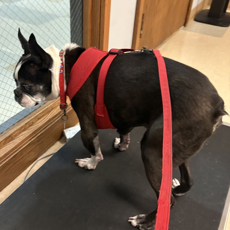 Veterinary Specialty Center of Seattle