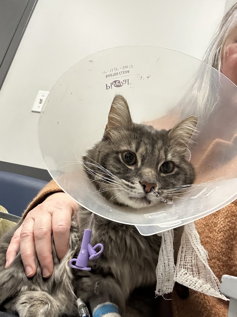 Veterinary Specialty Center of Seattle