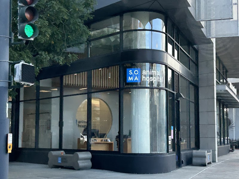 SoMa Animal Hospital