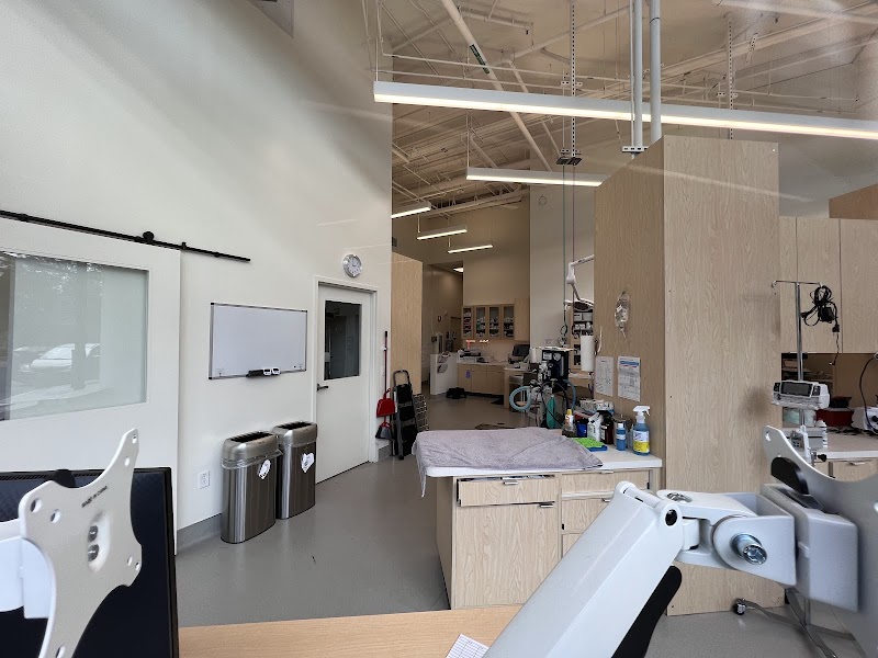 SoMa Animal Hospital