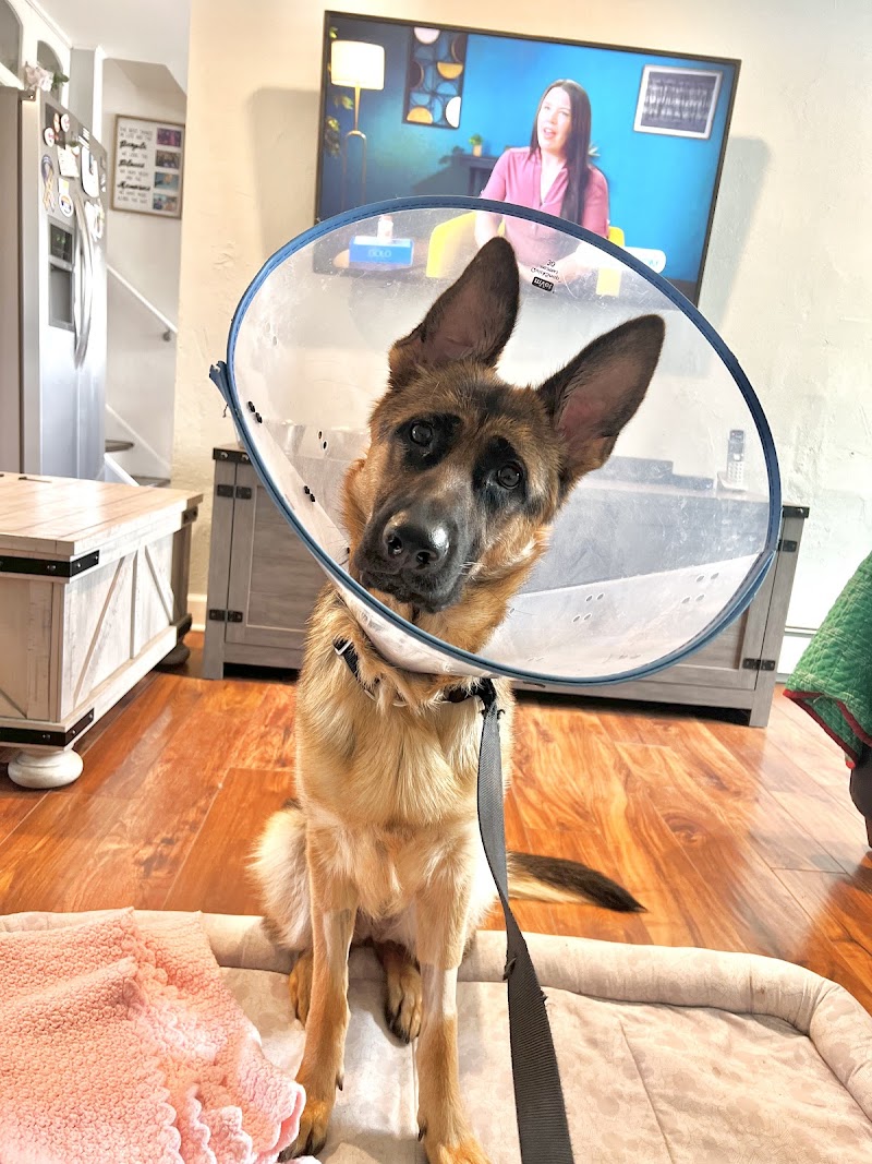 Animal Emergency Service