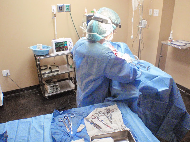 PETSURG