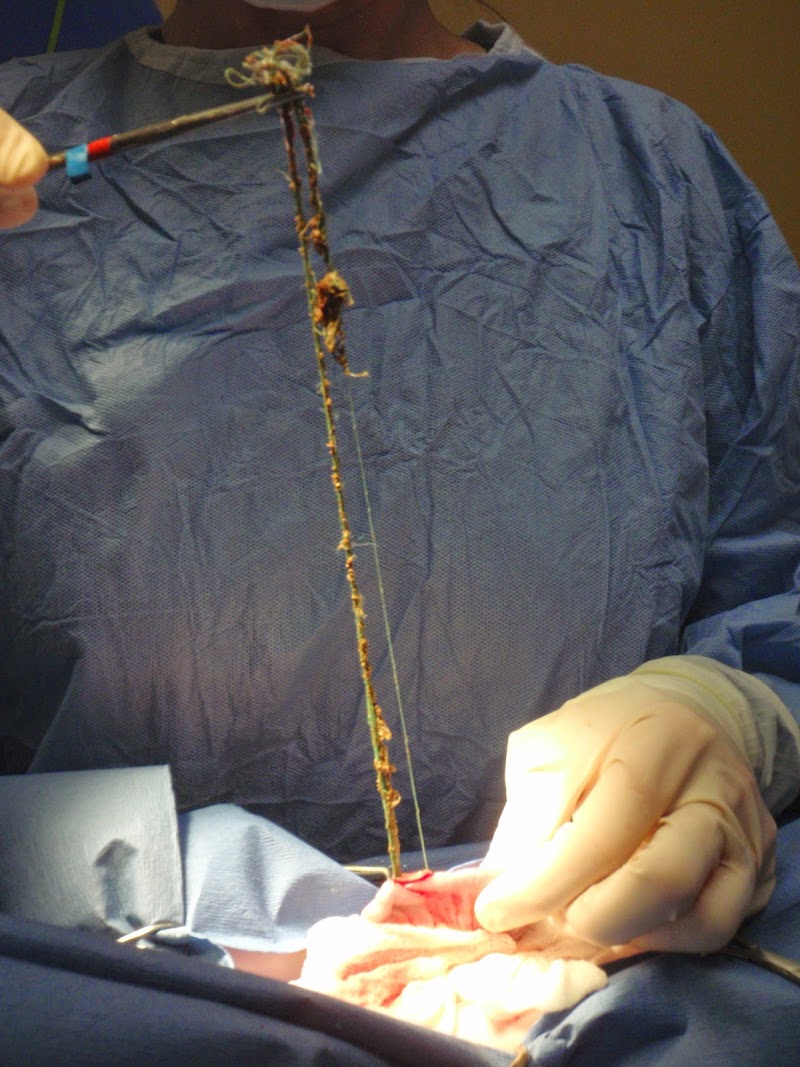 PETSURG