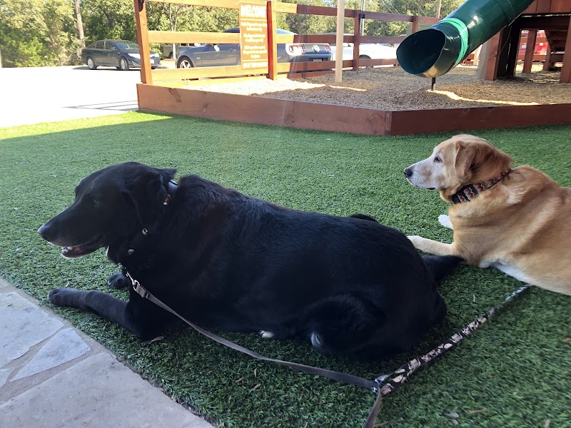 Austin Veterinary Emergency and Specialty
