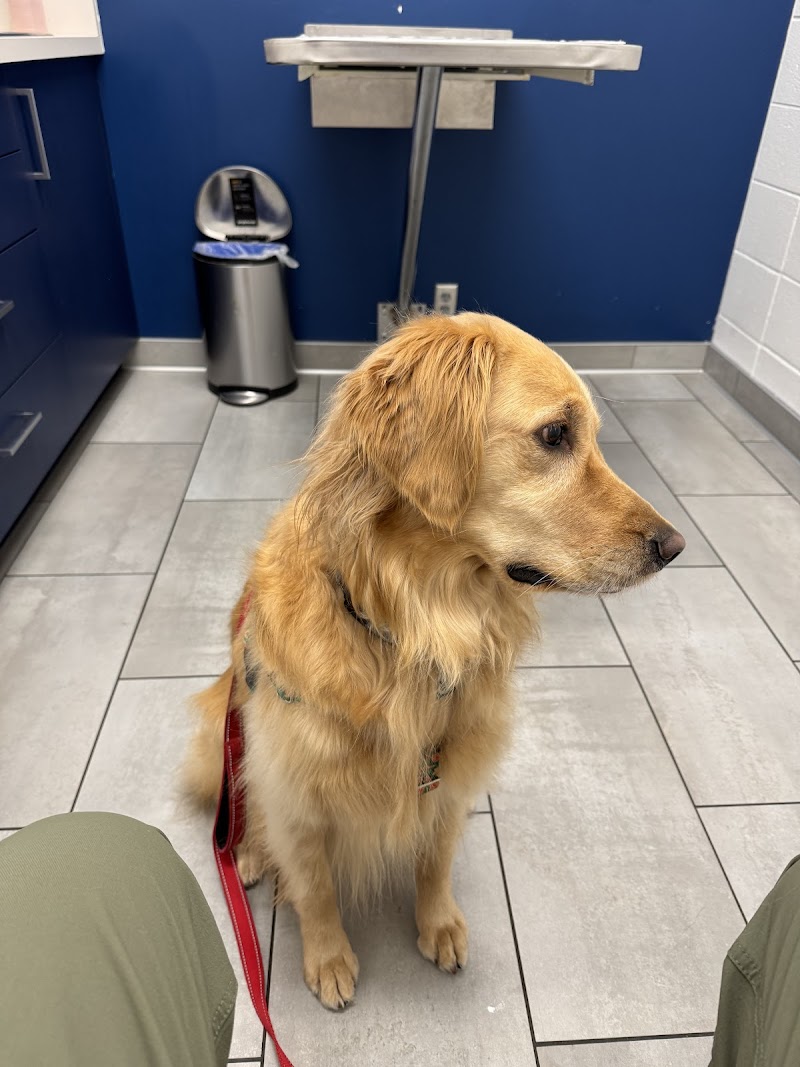 Southdale Pet Hospital