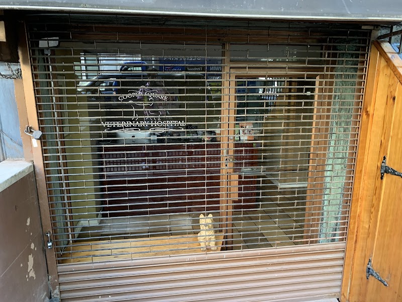 Cooper Square Veterinary Hospital