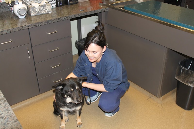 Lakeside Animal Clinic
