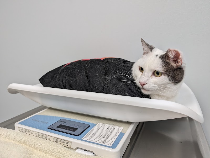 Overland Veterinary Clinic
