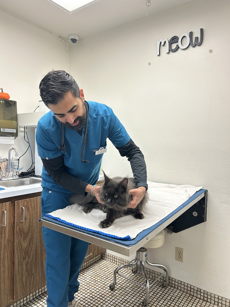 Animal Hospital of Redondo Beach