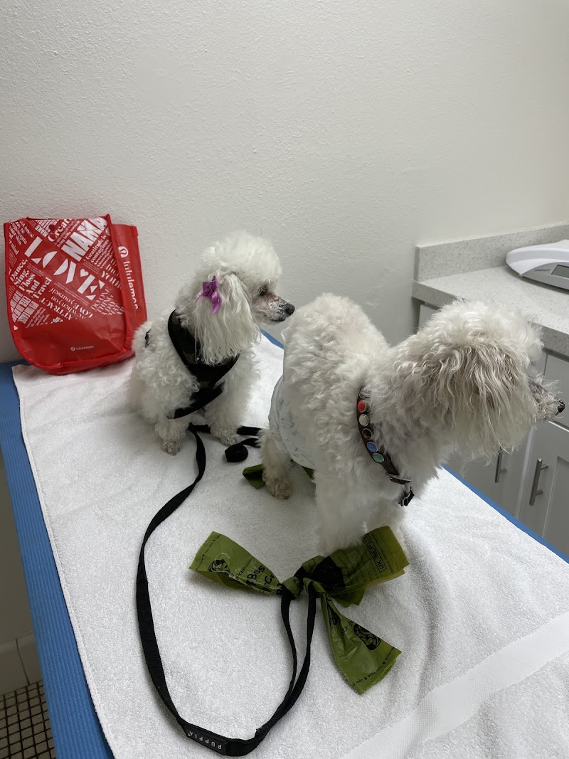 Animal Hospital of Redondo Beach