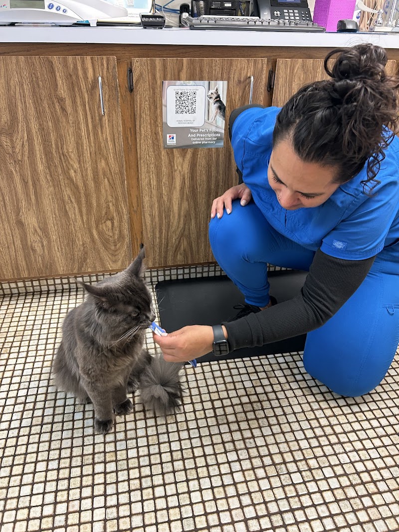 Animal Hospital of Redondo Beach