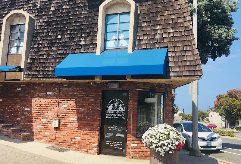 Animal Hospital of Redondo Beach