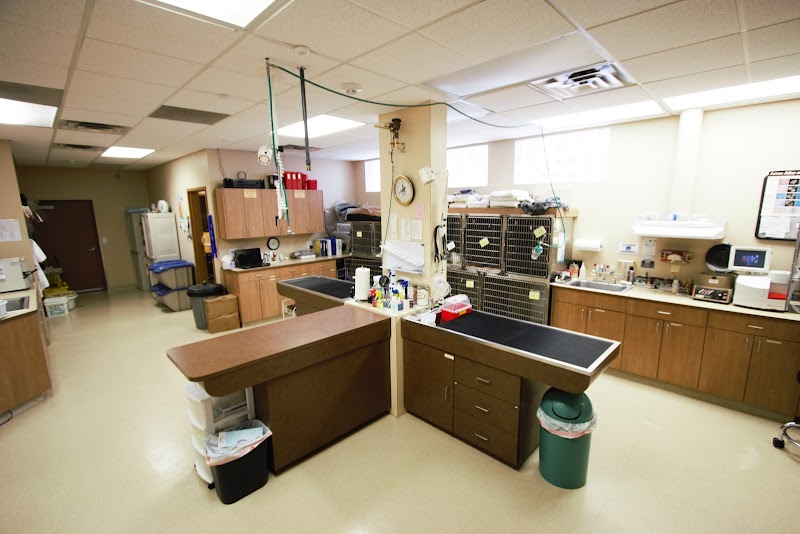 Camden Pet Hospital
