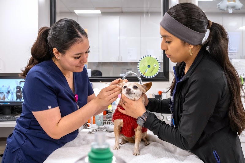 Bixby Animal Clinic