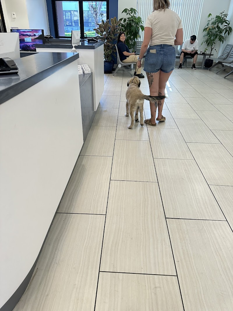 Bixby Animal Clinic