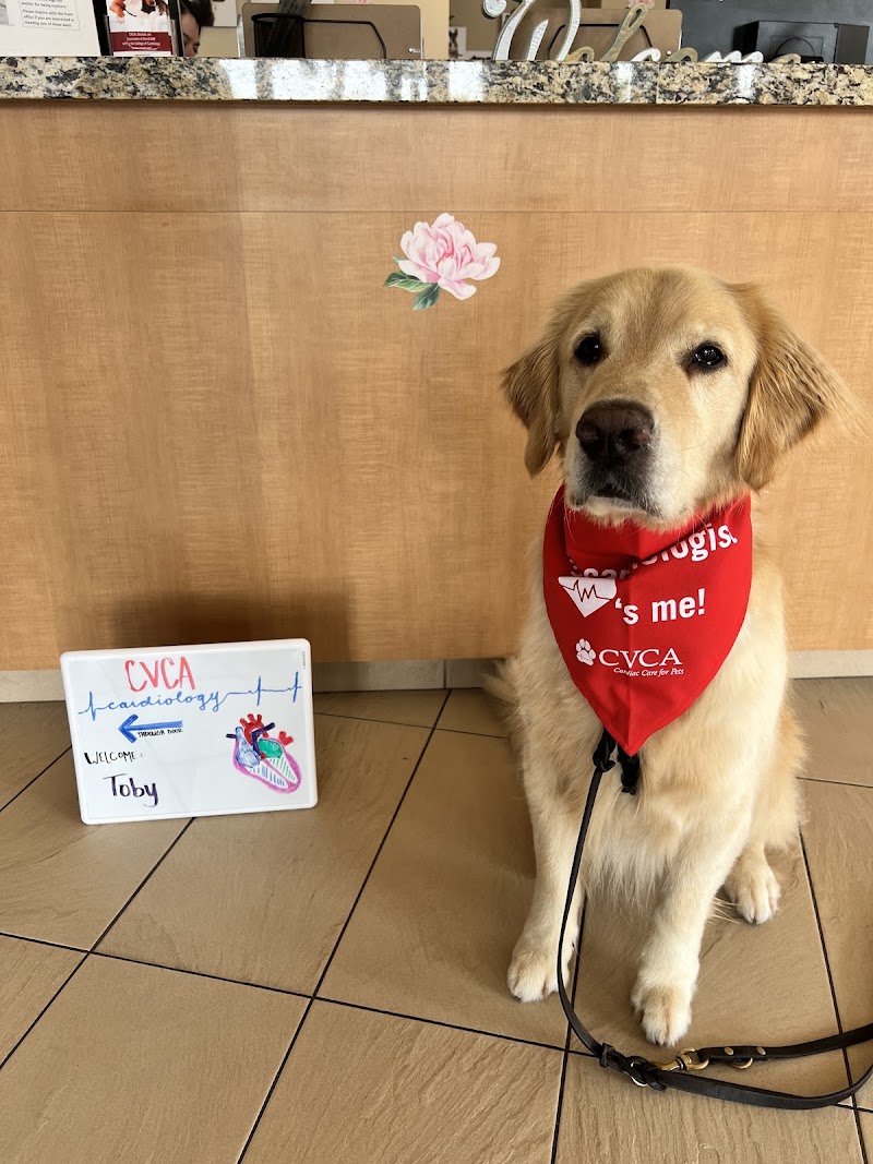 CVCA Cardiac Care for Pets