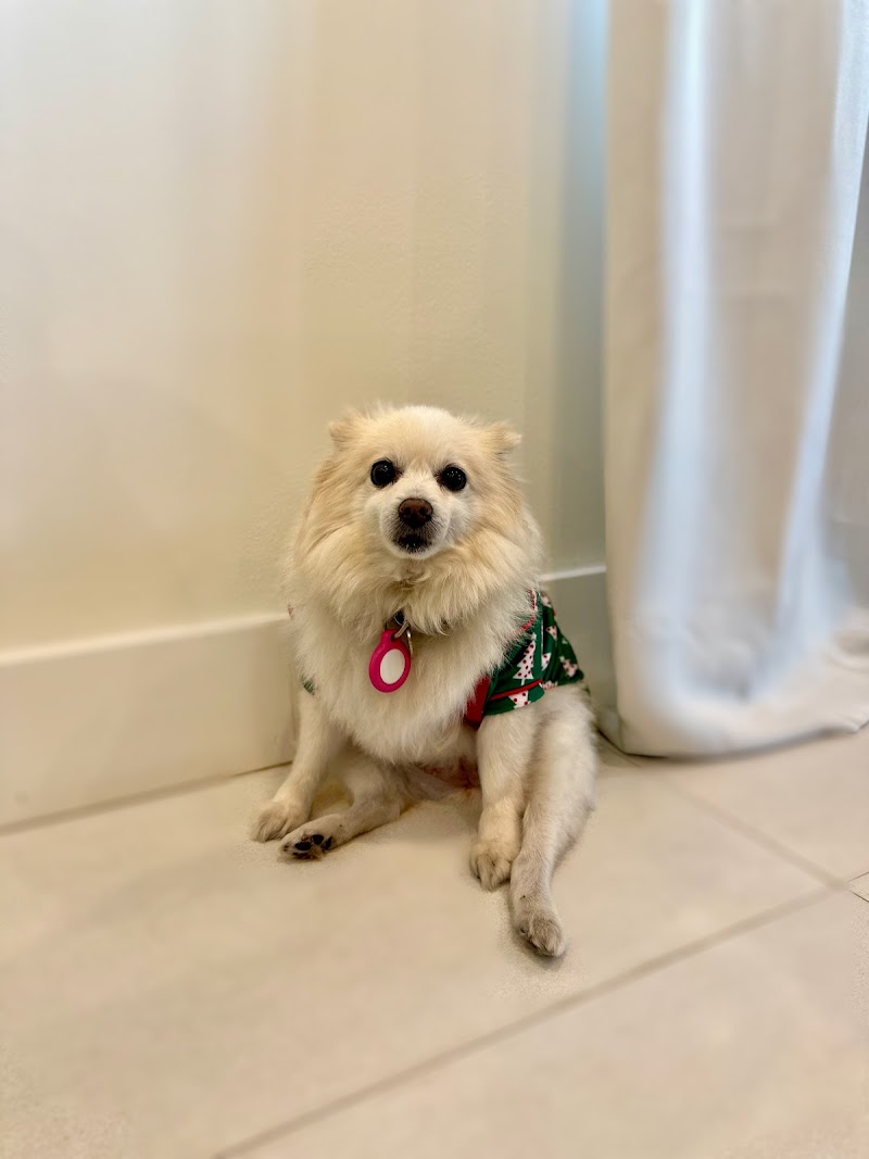 Kendall Pointe Animal Hospital (Emergency 24/7)