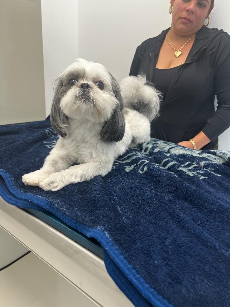 Kendall Pointe Animal Hospital (Emergency 24/7)