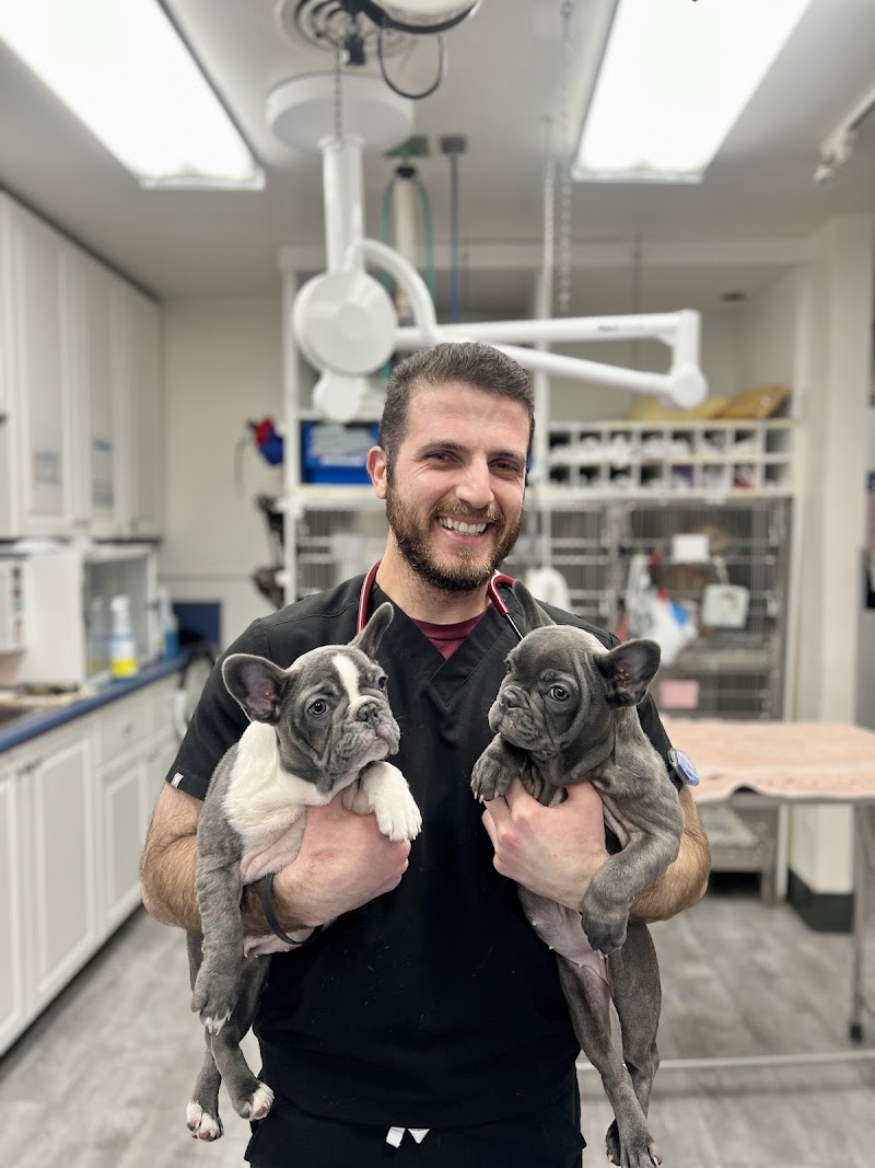 VCA McClave Animal Hospital