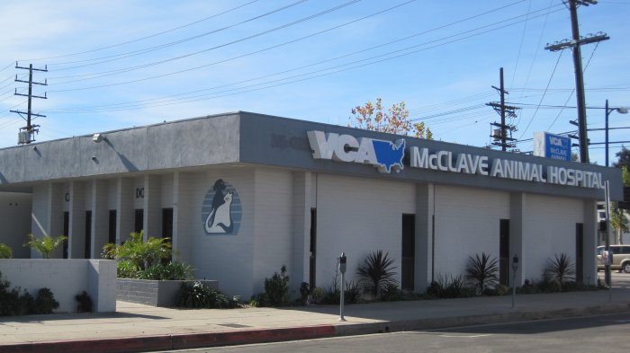 VCA McClave Animal Hospital