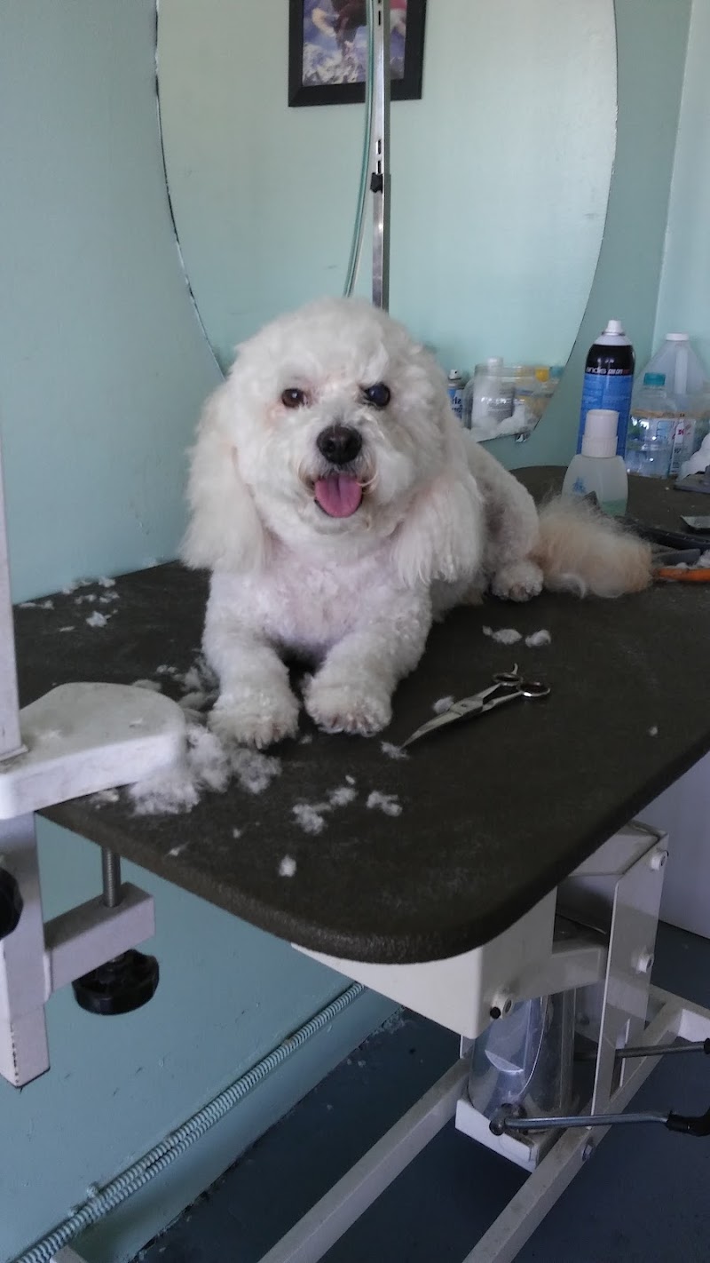 VCA McClave Animal Hospital