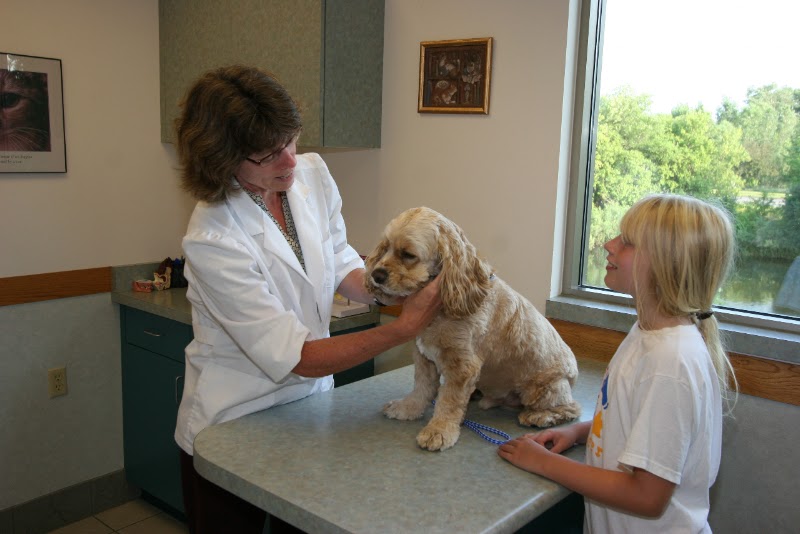 Companion Animal Hospital