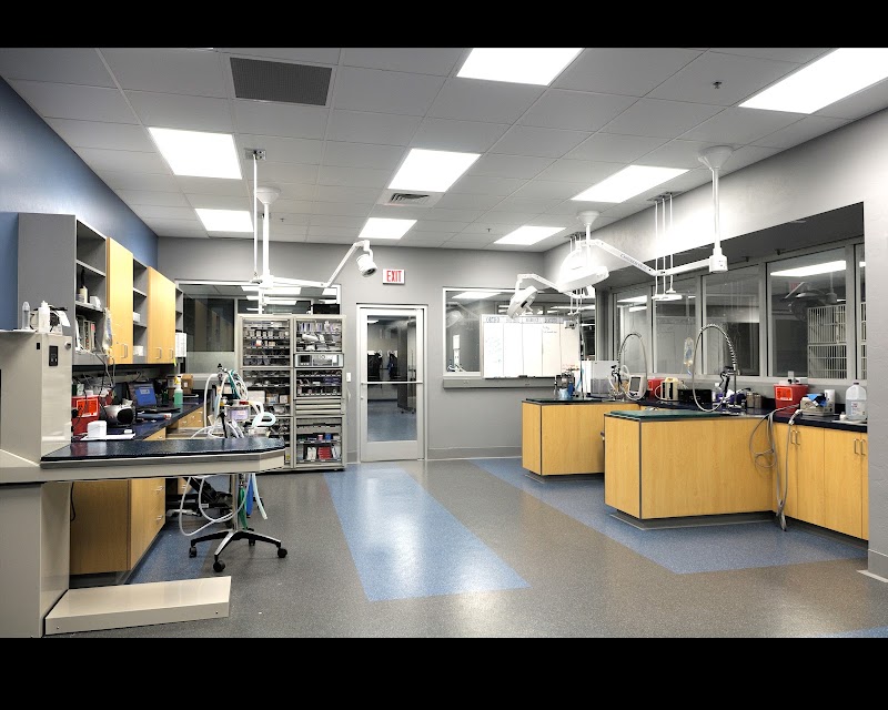 Veterinary Specialty Center Tucson - Tucson