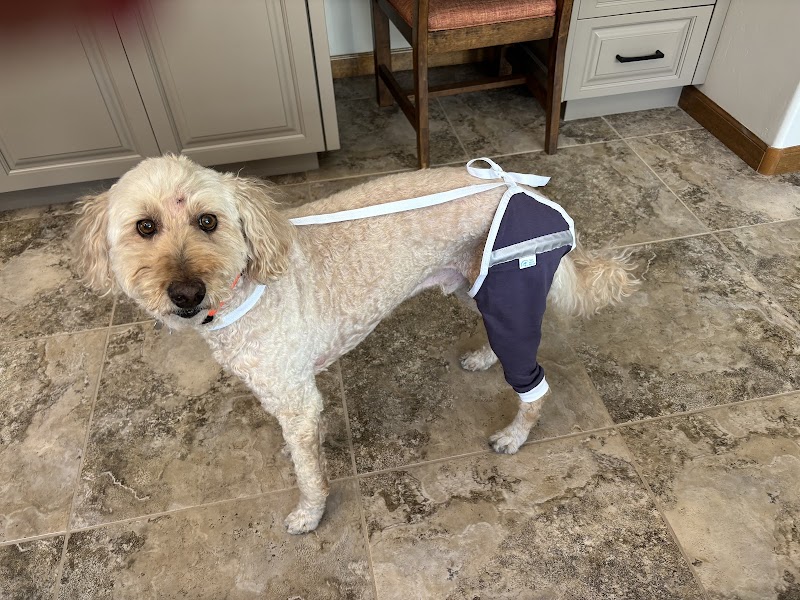 Veterinary Specialty Center Tucson