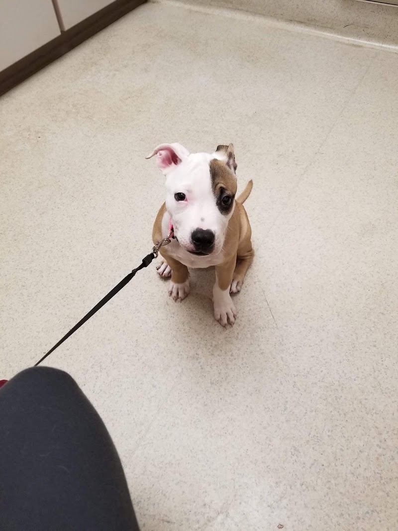 VCA Bloomington Animal Hospital - Bloomington