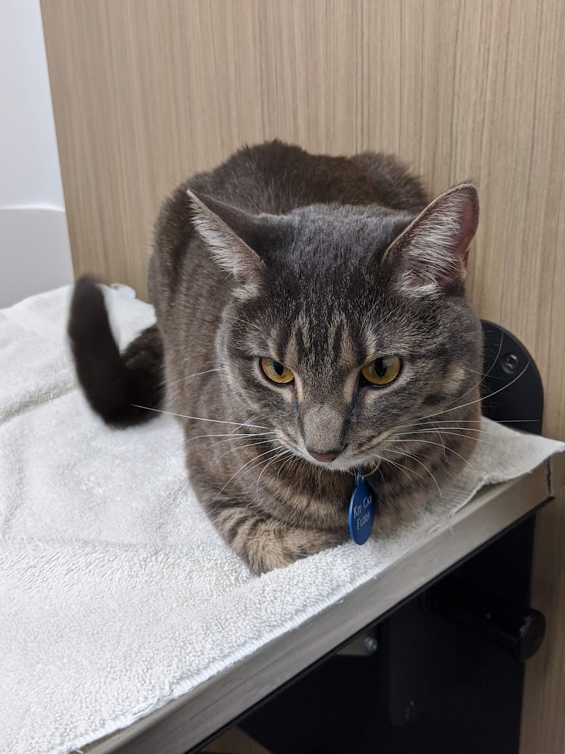 VCA Bloomington Animal Hospital