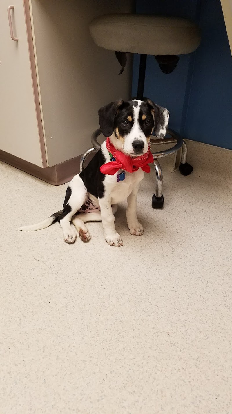 VCA Bloomington Animal Hospital