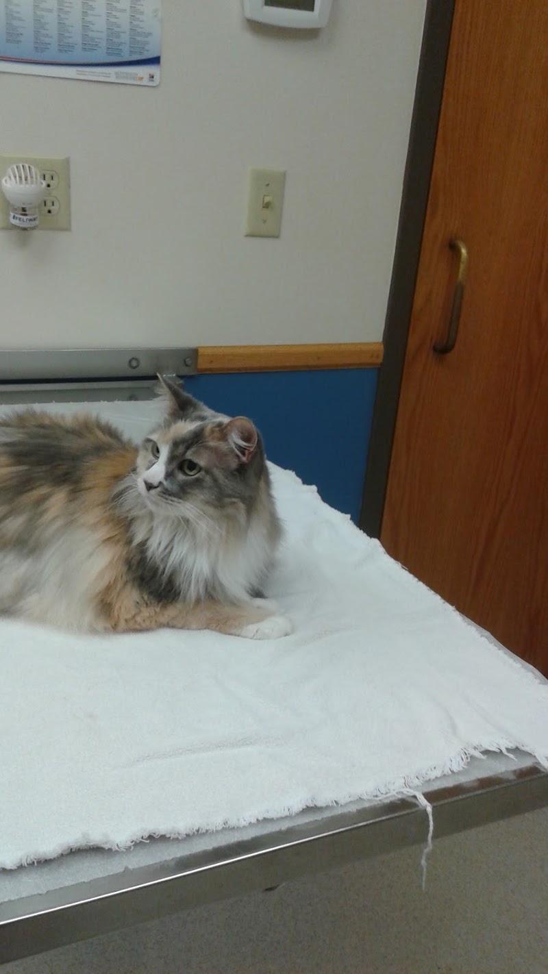 VCA Bloomington Animal Hospital