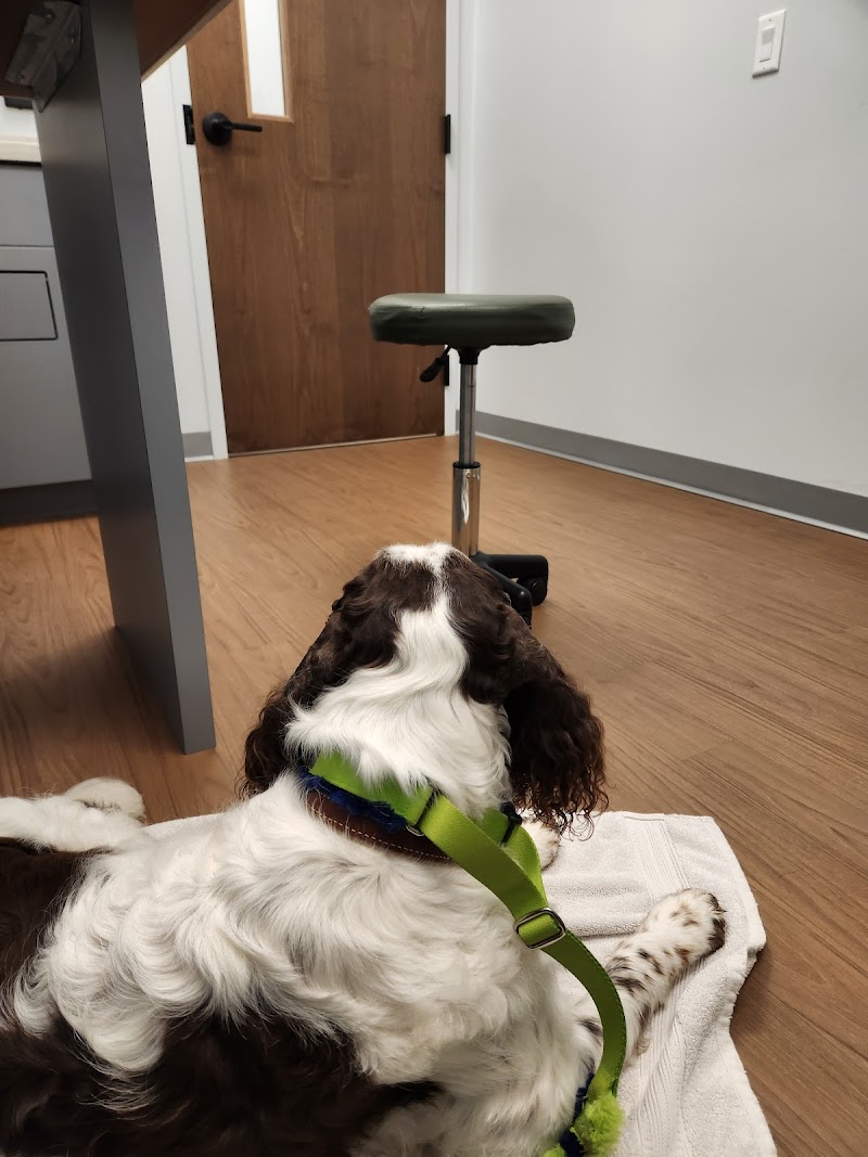 Minnesota Veterinary Neurology